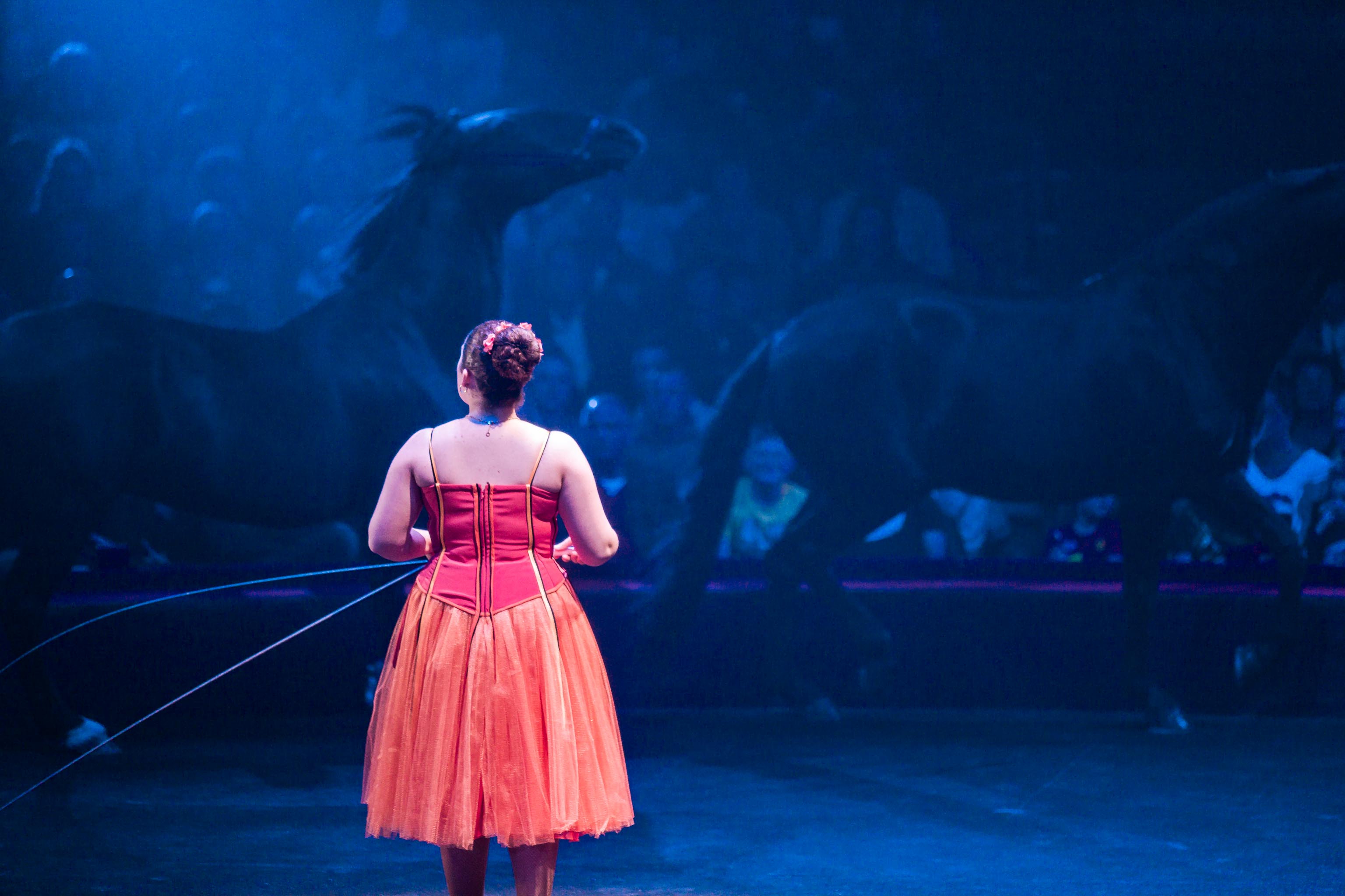 Tour de France Photo 2014 - Cirque Arlette Gruss